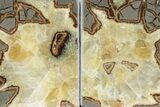 Crystal Filled Septarian Geode Bookends - Utah #231077-1
